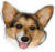 nana95.gif nana95.gif