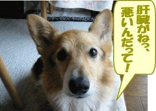 nanau10.gif