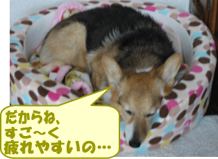 nanau11.gif