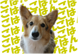 nanau12.gif