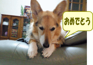 nanau17.gif