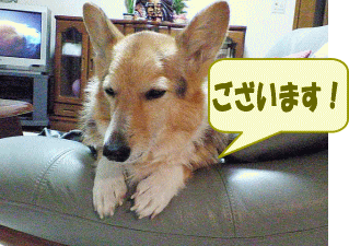 nanau18.gif