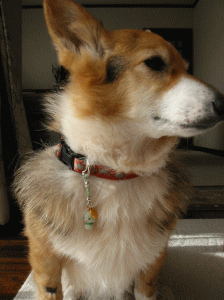 nanau20.gif