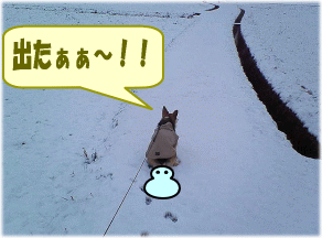 nanau30.gif