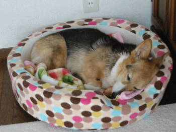 nanau34.gif