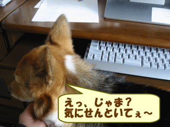 nanau75.gif